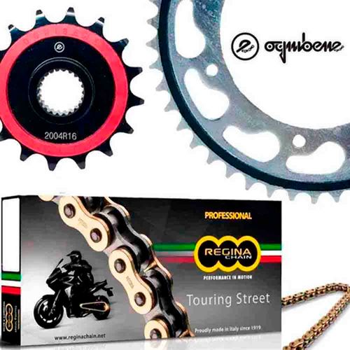 kitrelacaoognibenereginakawasakiz300 kitrelacaoognibenereginakawasakiz300