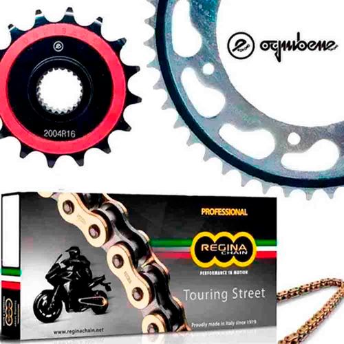 ognibene-regina ognibene-regina