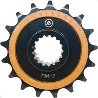 pinhao-17-dentes-ognibene-bmw-f900r-