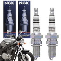 vela-de-ignicao-marca-ngk-modelo-iridium-dpr8eix-9-suzuki-gs500e-ano-1993-1994-1995-1996-1997-1998-1999-2000-2001-2002_2003-2004-2005-2006-2007-2008-2009